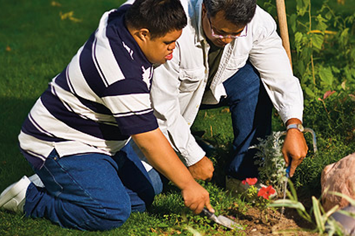 Community Living image