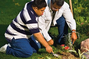 Community Living image